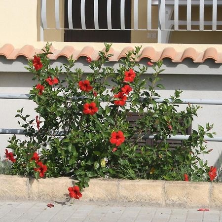 Baia Dei Canonici Apart otel Villaggio Le Rocelle Dış mekan fotoğraf