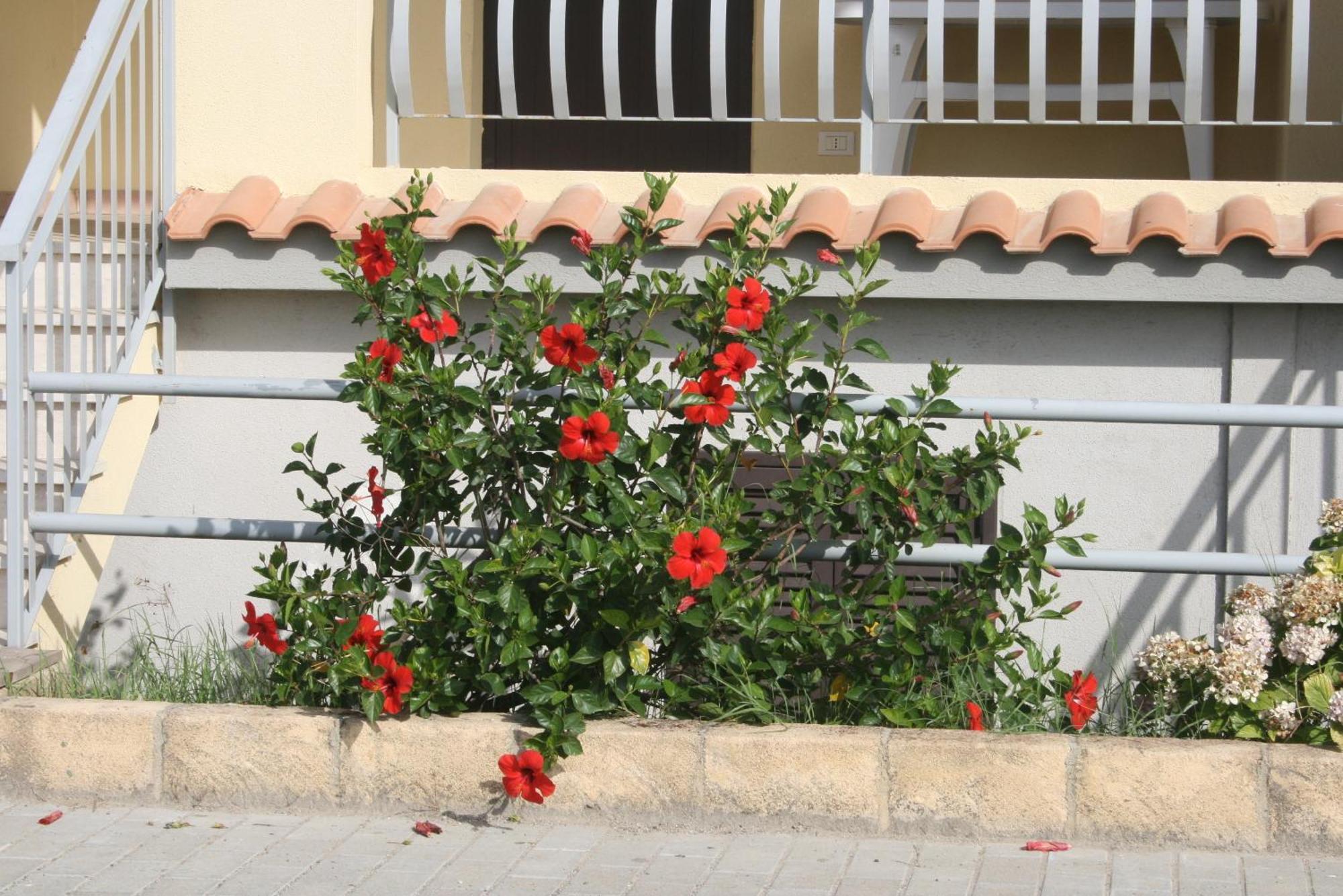 Baia Dei Canonici Apart otel Villaggio Le Rocelle Dış mekan fotoğraf