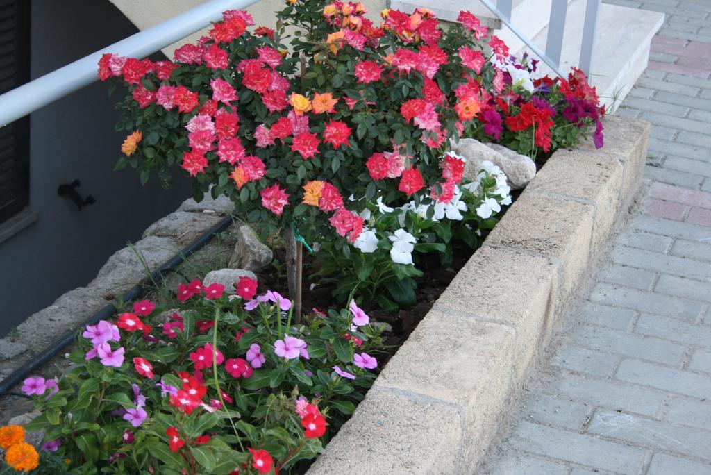 Baia Dei Canonici Apart otel Villaggio Le Rocelle Dış mekan fotoğraf